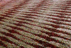 Esprit Teppich Grau Pink Orange Grün Kurzflor 