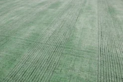 Kurzflor Teppich Blass Grün