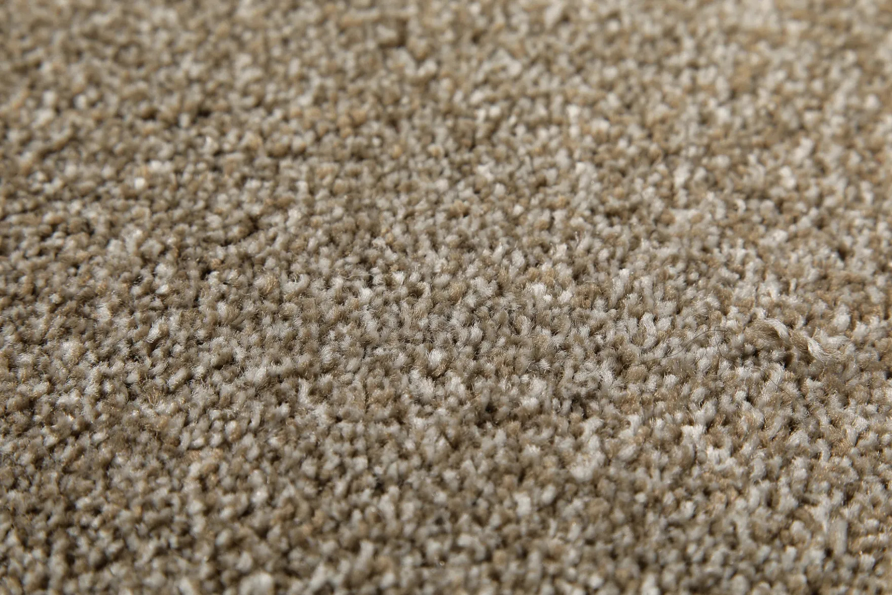 Kurzfor Teppich Dunkelbeige meliert "Tim" WECONhome