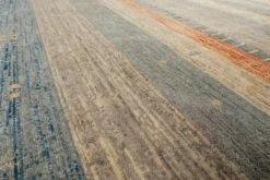 Loribaft Teppich 100 % Schurwolle 245x305 cm