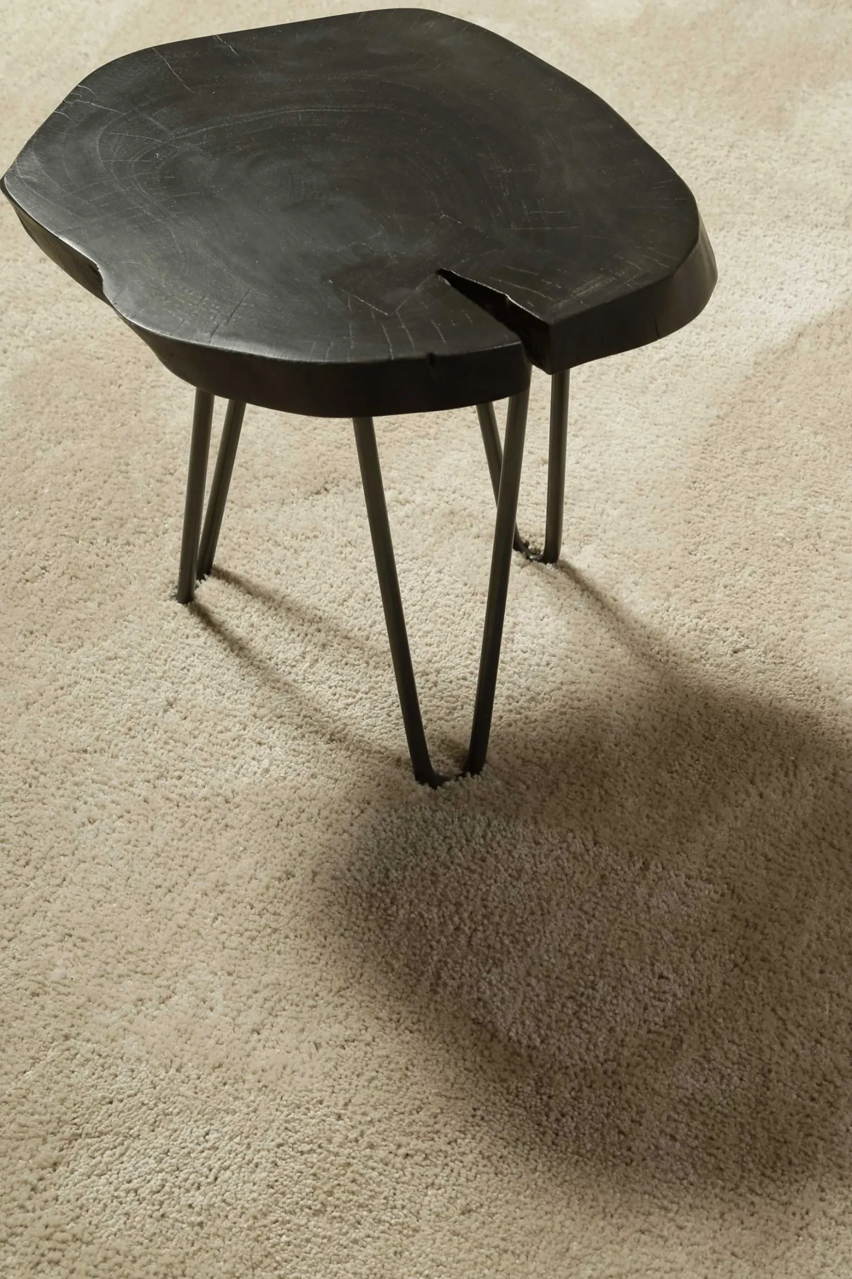 Teppich Rund Beige Hochflor "Pisa" Homie Living