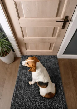 Waschbarer Haustierteppich für Hunde & Katzen Grau
