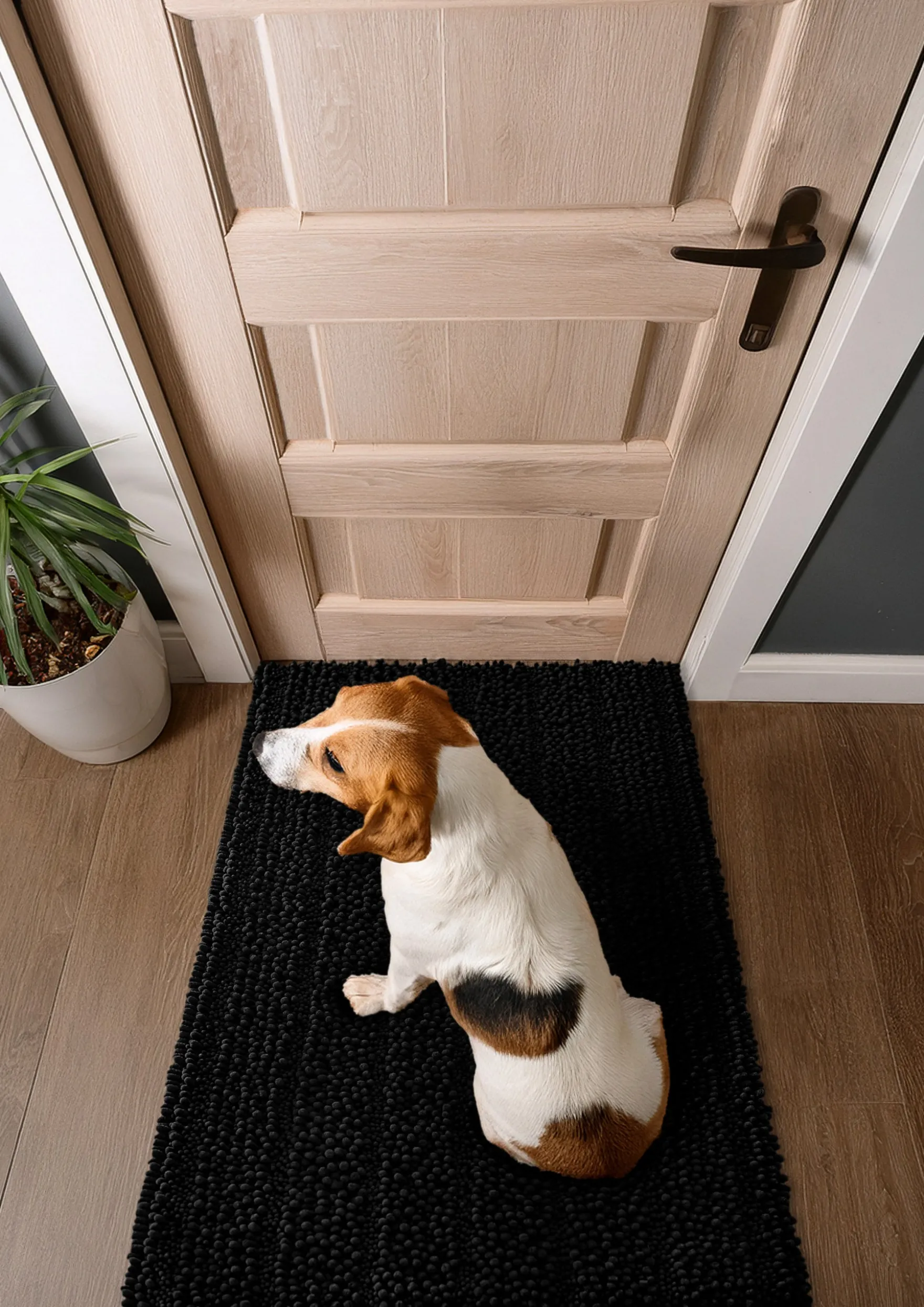 Waschbarer Haustierteppich für Hunde & Katzen Schwarz "Cooper" carPETS