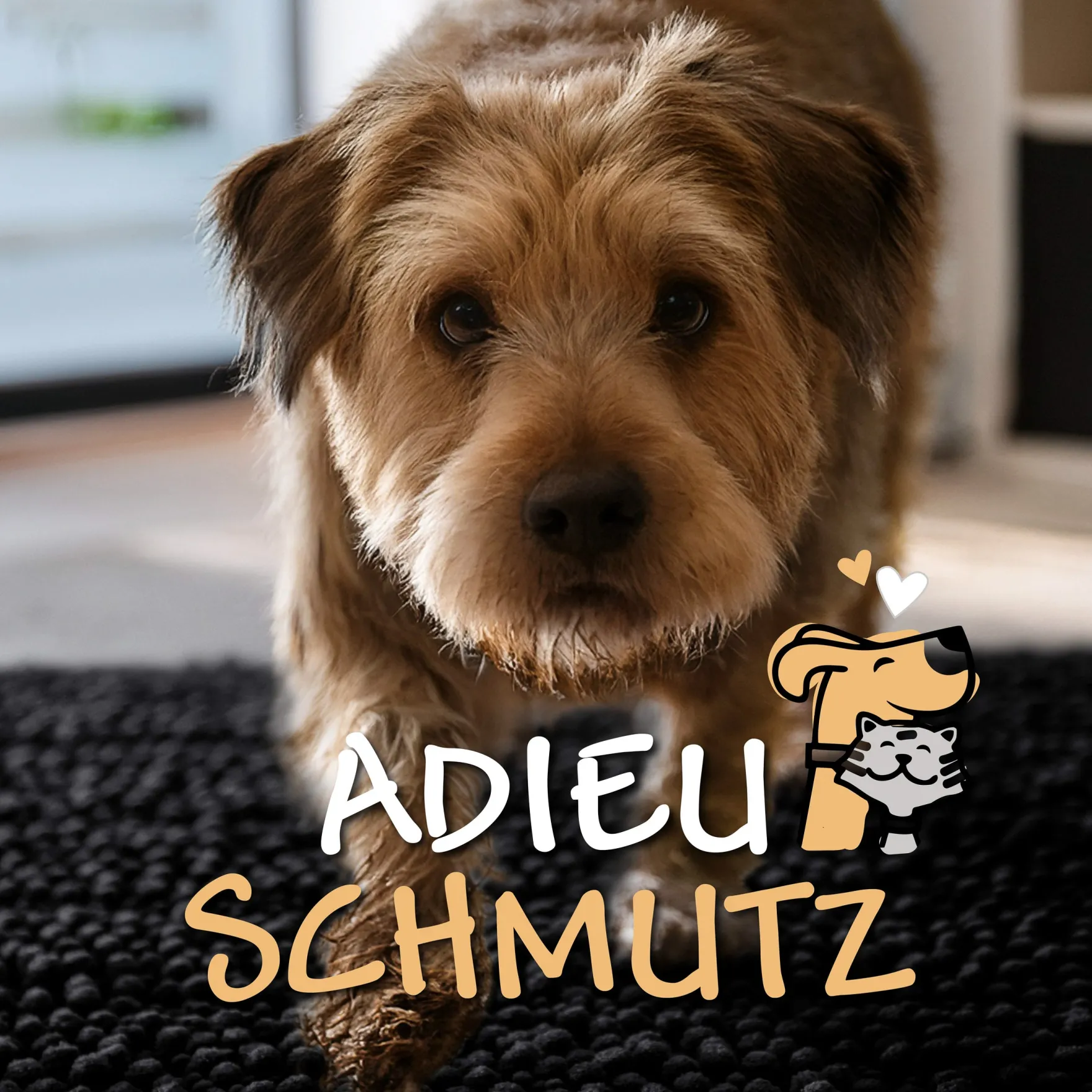 Waschbarer Haustierteppich für Hunde & Katzen Schwarz "Cooper" carPETS