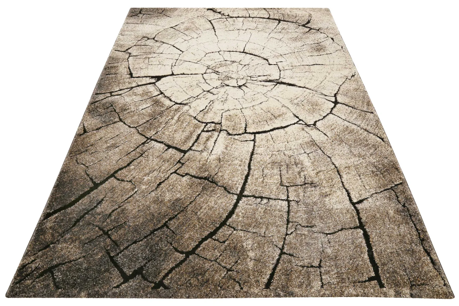 WECONhome Kurzflor Teppich "Wild Oak "holz braun