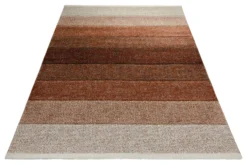 160x230 cm Teppich Wohnzimmer Farbverlauf
