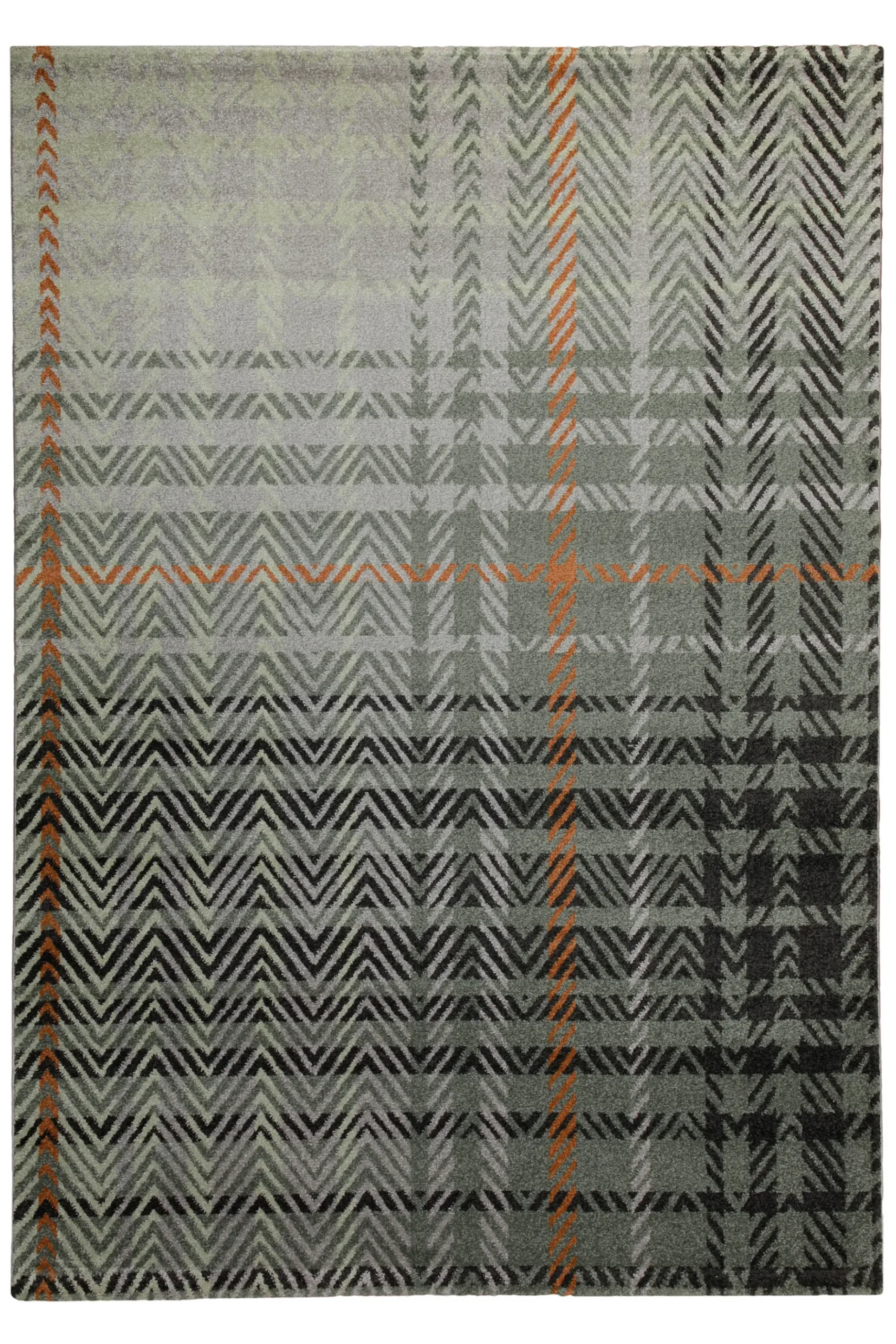 160x230 cm Teppich Wohnzimmer Graugrün
